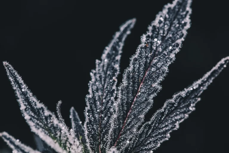 shutterstock 758216617 scaled 1