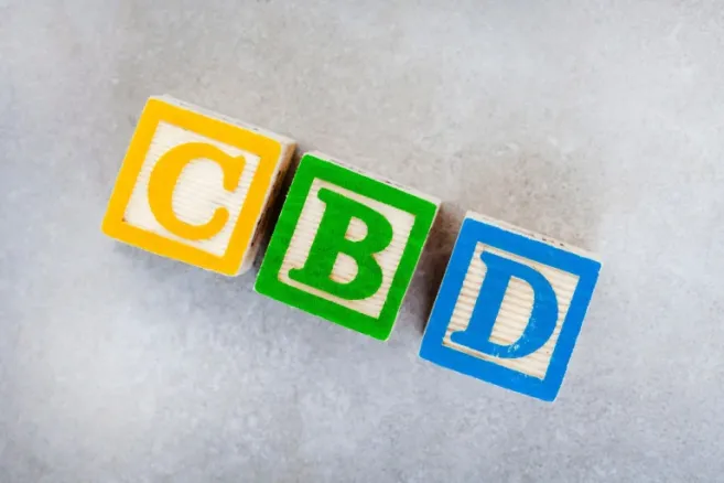 shutterstock 2336967107 scaled