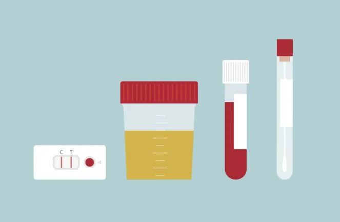 shutterstock 1899139240 scaled