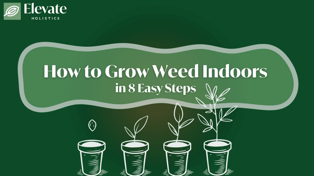how to grow weed indoors