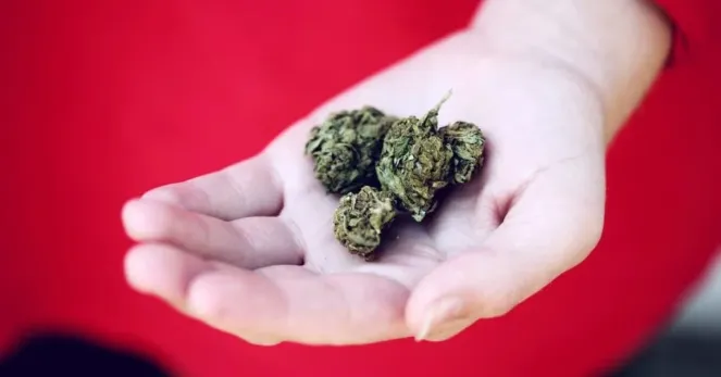 Find a dispensary Moberly MO