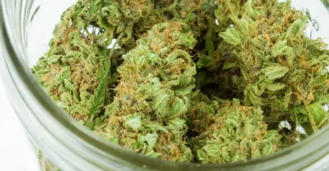 Medical Dispensaries in Neosho