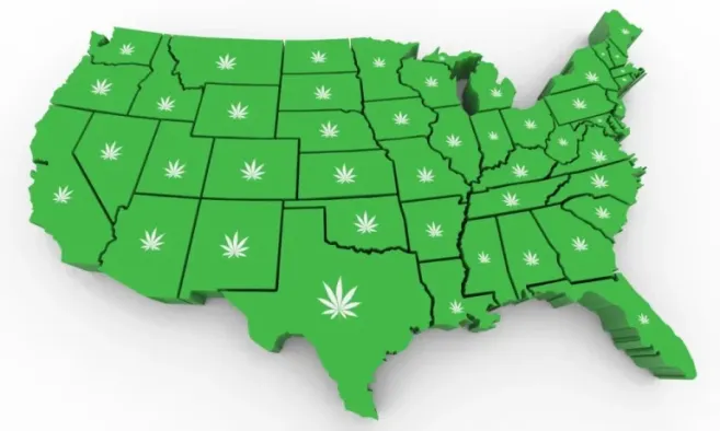 marijuana card in another state
