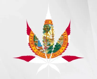 weed in flrida e1628529525280