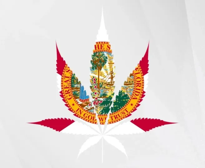 weed in flrida e1628529525280