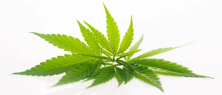 shutterstock 1149948821 scaled e1631644583784