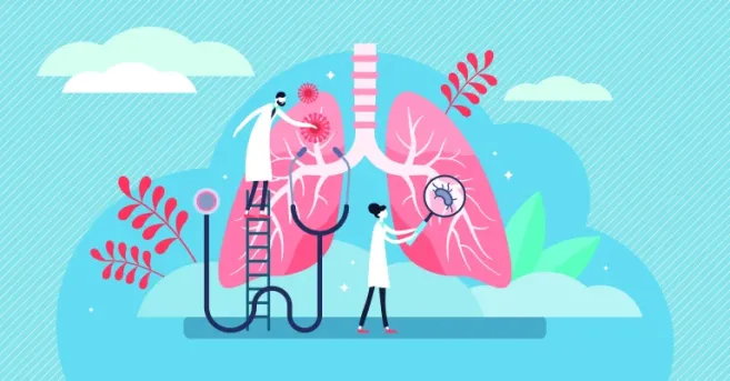 Medical illustration showing doctors examining healthy pink lungs with stethoscope and magnifying glass, representing respiratory health recovery during a cannabis tolerance break