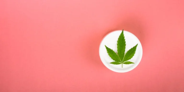 shutterstock 2000206325 scaled e1671479196624