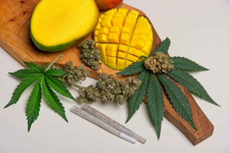 shutterstock 1627465849 scaled