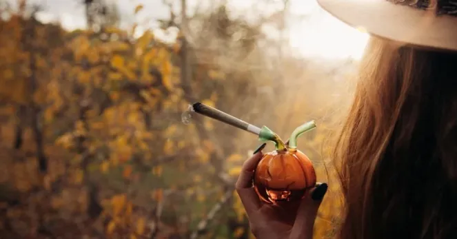 best cannabis strains for fall