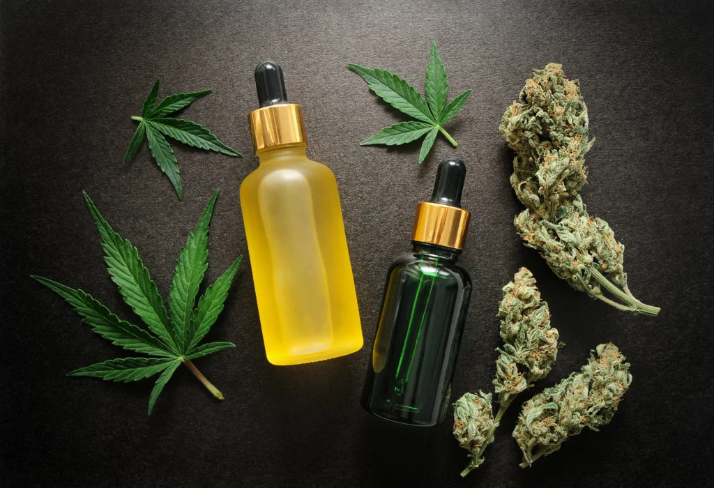 shutterstock 1965534259 scaled