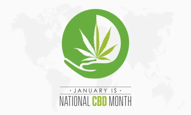 shutterstock 2244166773 scaled