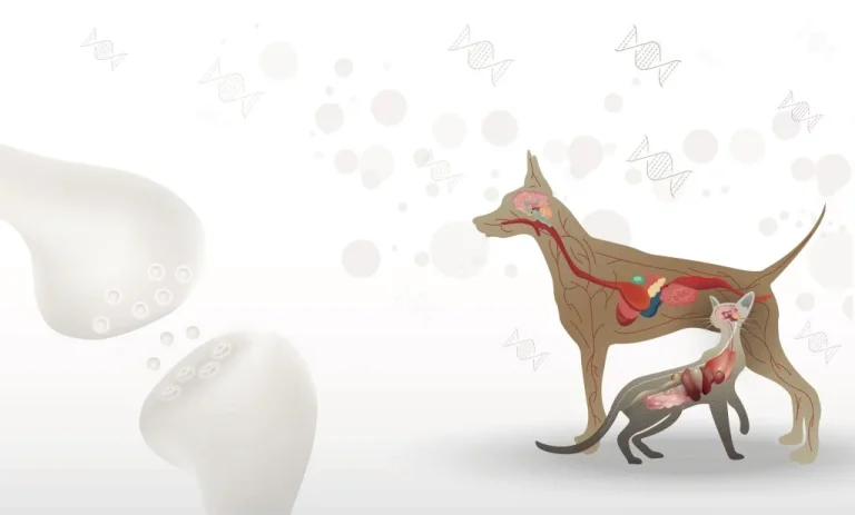 shutterstock 2220858609 scaled