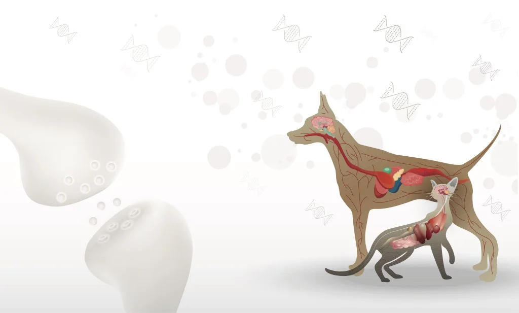 shutterstock 2220858609 scaled