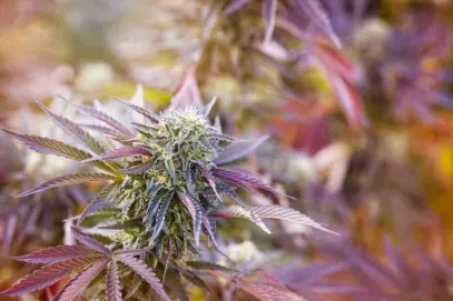 shutterstock 2288304707 scaled