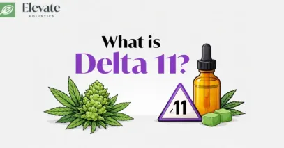 Illustration explaining what Delta-11 THC is, featuring the Elevate Holistics logo, hemp plant, Delta 11 symbol, and hemp-derived product bottle.