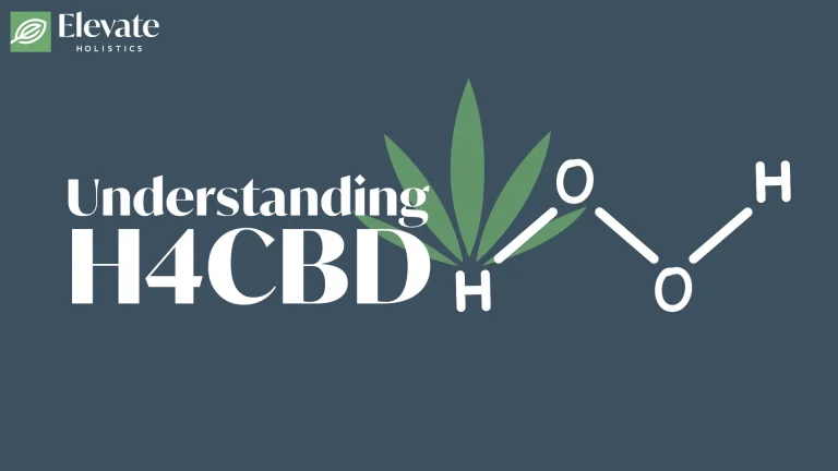 what is H4CBD