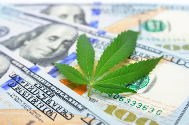 Cannabis taxes