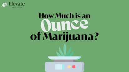Illustration asking “How much is an ounce of marijuana?” featuring a cannabis leaf on a digital scale with Elevate Holistics branding on a green background.