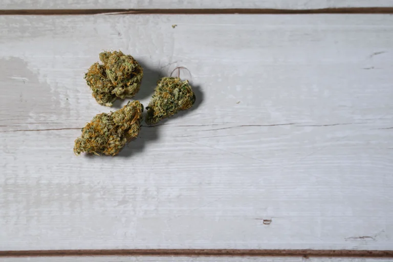 Acapulco gold strain buds on a table