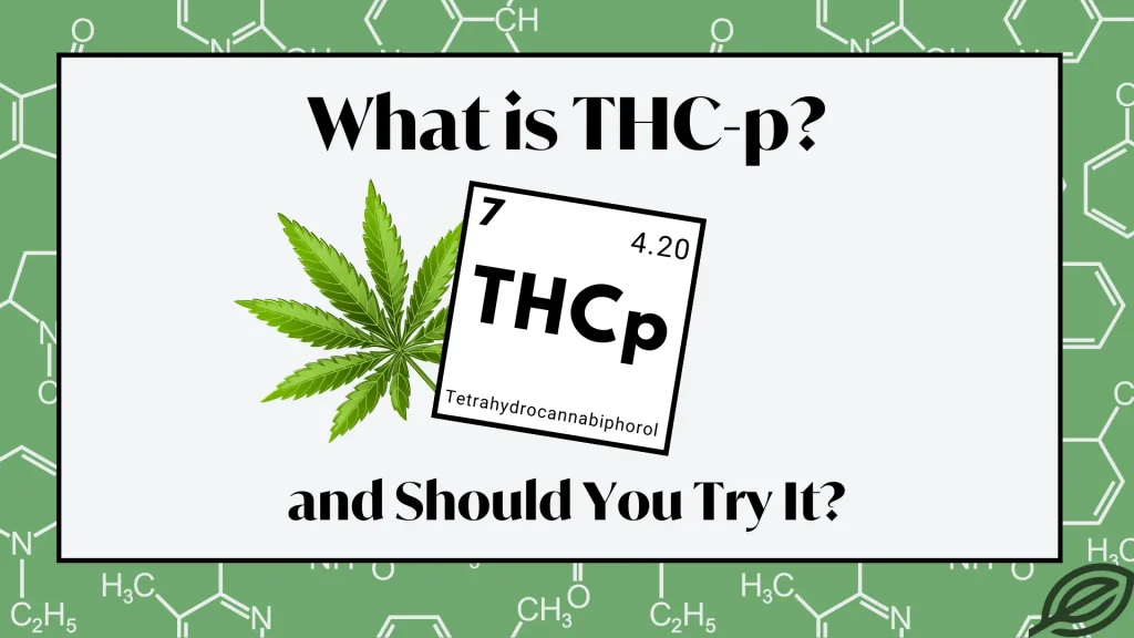 Infographic showing THCp (Tetrahydrocannabiphorol) periodic table element with cannabis leaf, explaining what THCp is and whether you should try it