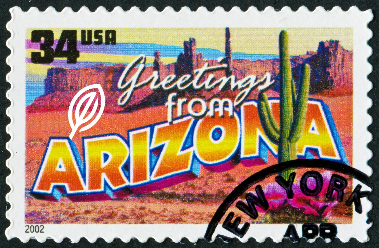 Elevate Holistics arizona