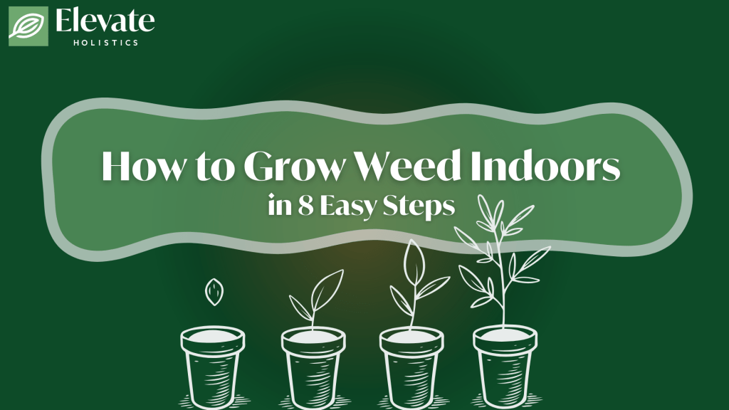 how to grow weed indoors