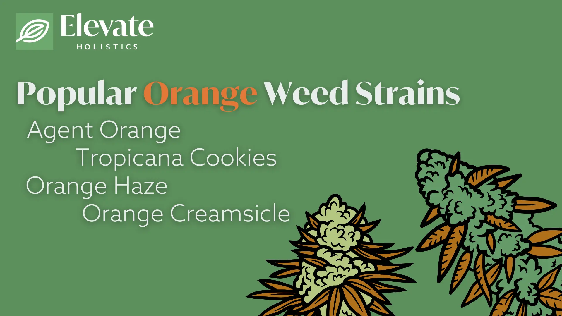 orange weed