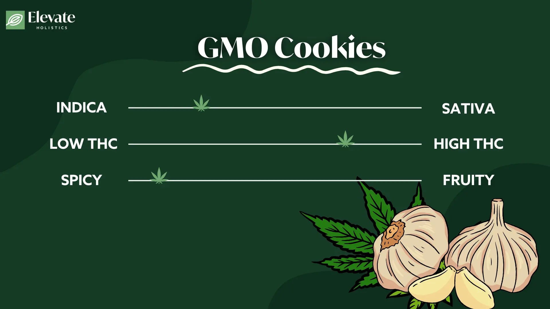 GMO strain