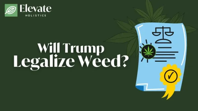Will Trump legalize weed