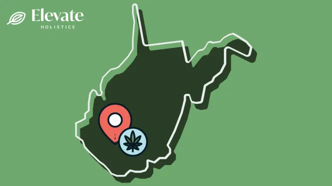 greenlight stollings