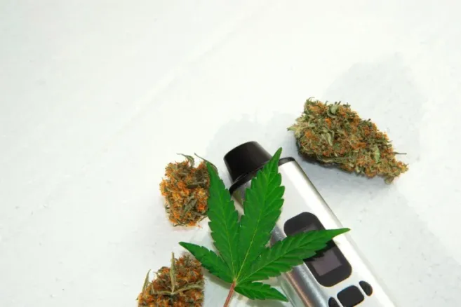 shutterstock 1856989978 scaled