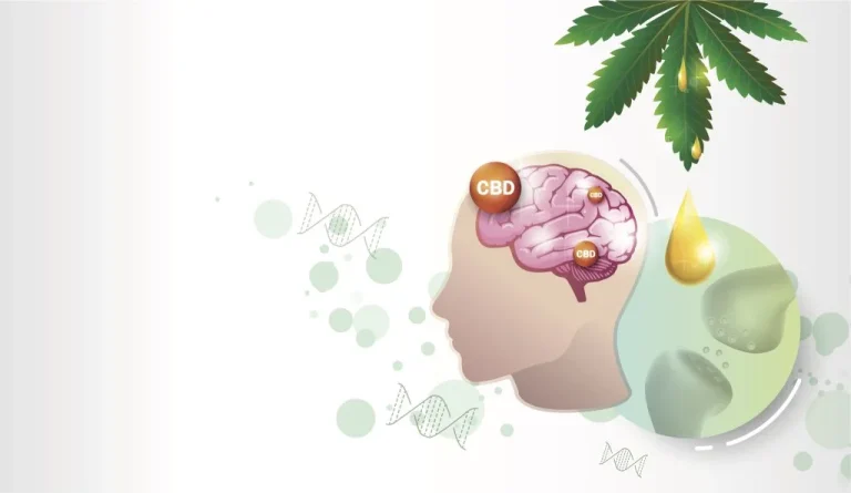 shutterstock 1519176221 scaled