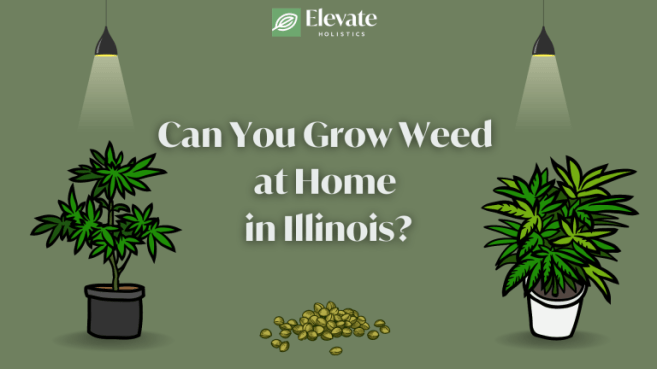 can you grow weed in Illinois