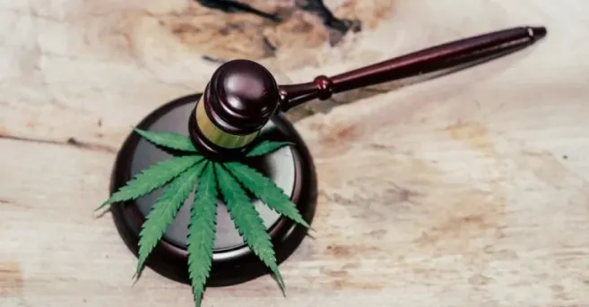 federal marijuana laws