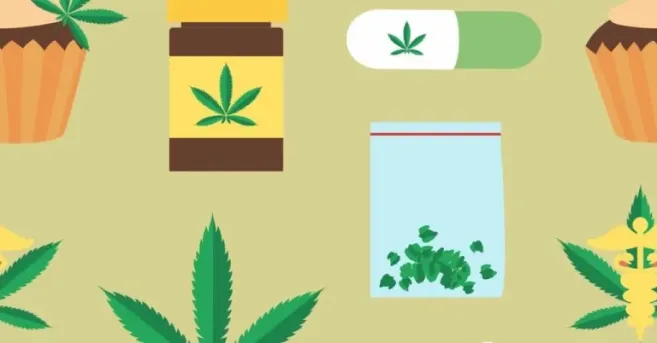 Massachusetts Recreational Weed