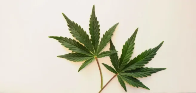 shutterstock 1937702467 scaled e1651593627173