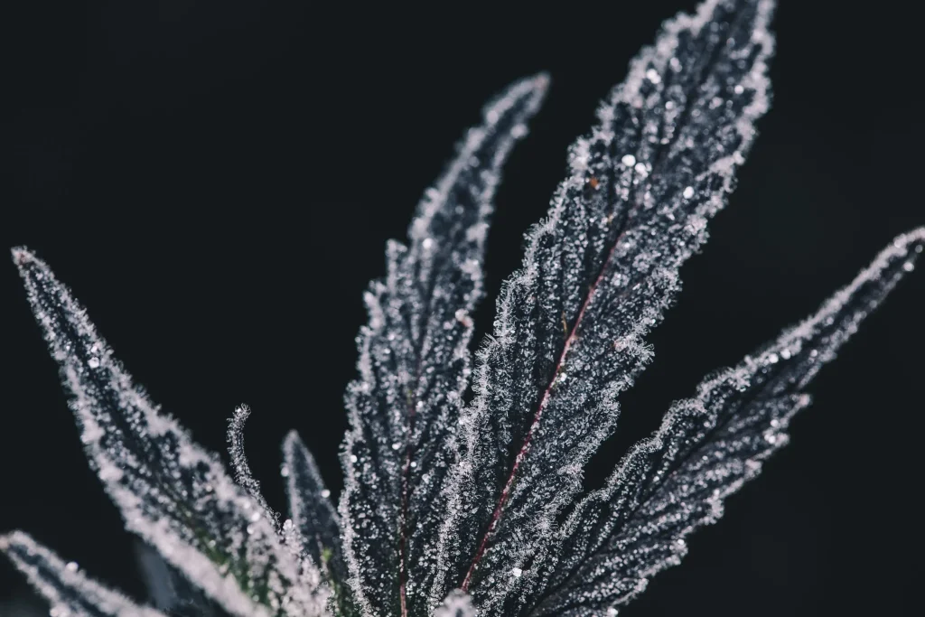 shutterstock 758216617 scaled 1