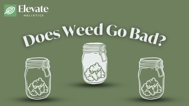 does weed go bad