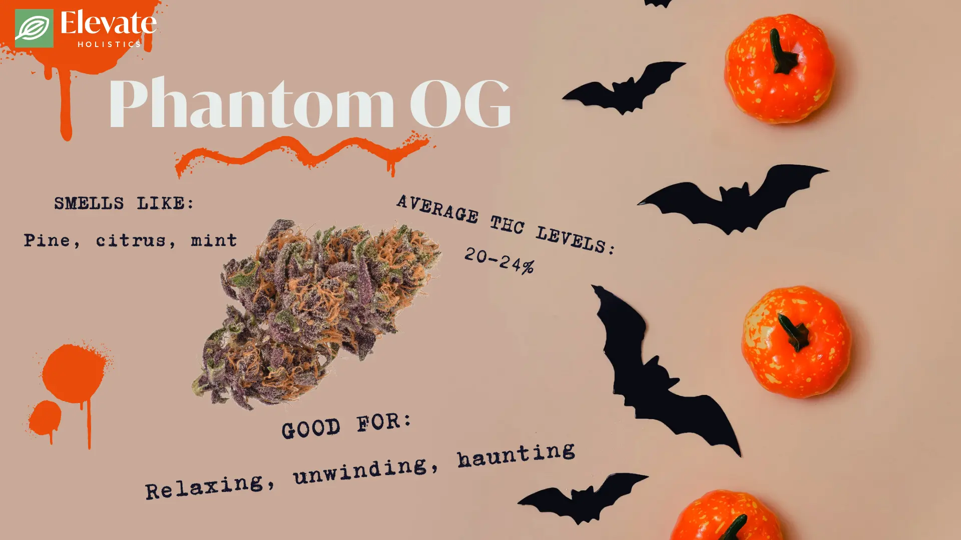 halloween weed strains