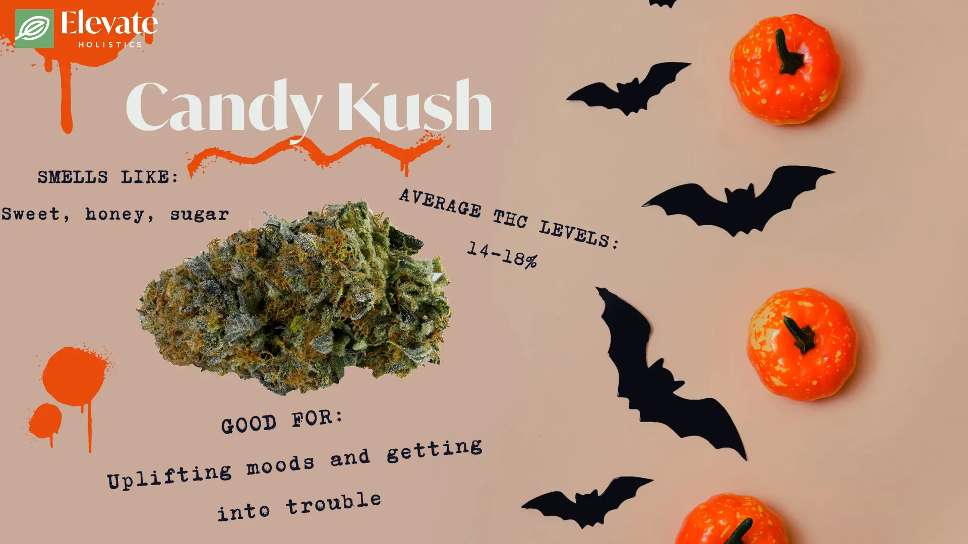 halloween weed strains