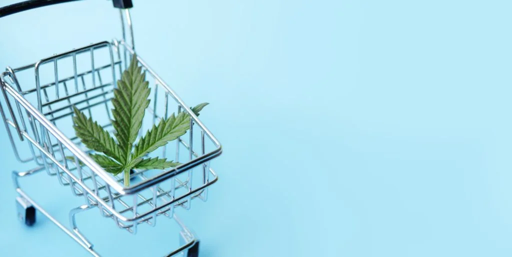 shutterstock 2073609665 1 scaled