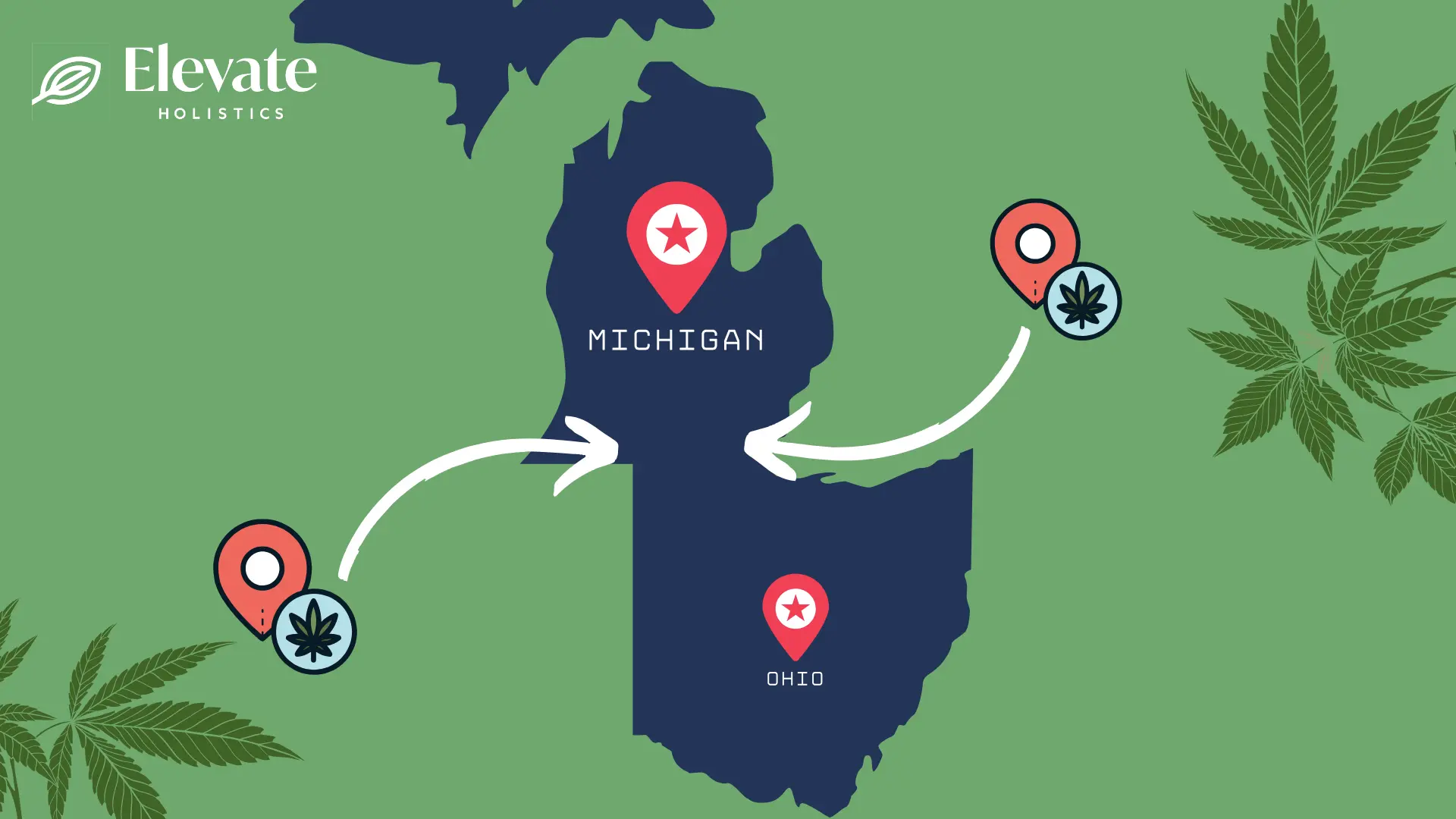 michigan dispensaries near ohio