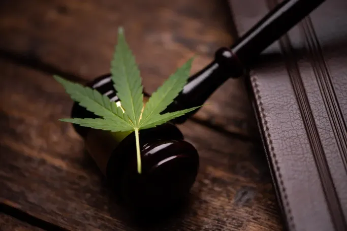 cannabis in west virginia; weed leaf on gavel 