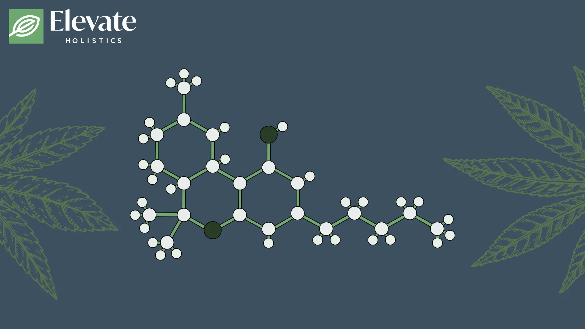 THC isomers