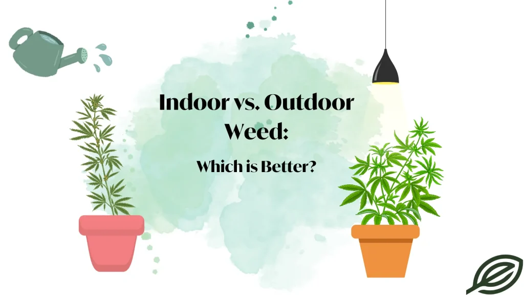 indoor vs. outdoor weed