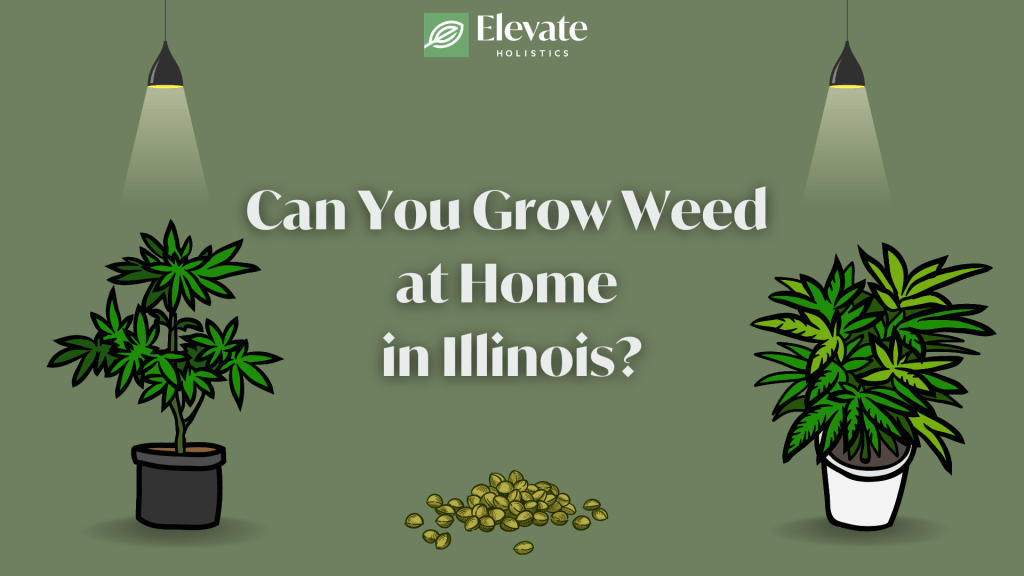 can you grow weed in Illinois