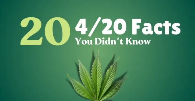 20 4/20 Facts You Didn't Know
