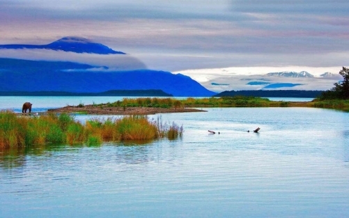 alaska medical marijuana card