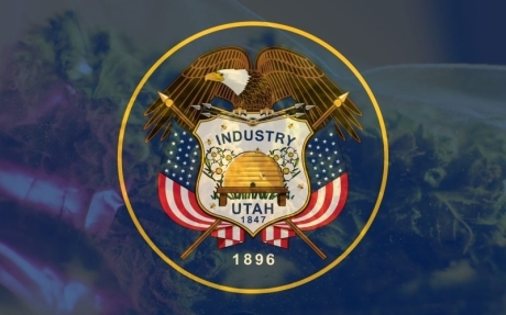 shutterstock 1254449674 scaled